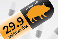 The cover of the Pew Charitable Trust article on Antibiotic Residue