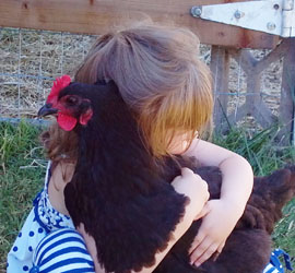 Young girl hugging chicken