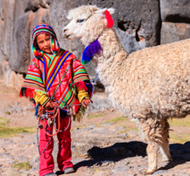 Child with llama in colorful ribbons
