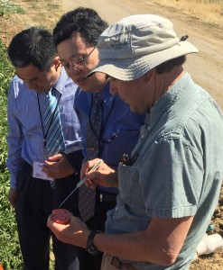 Tony Turkovich explains tomato production to Chancellor Wei Zuo and Yingjun Liu