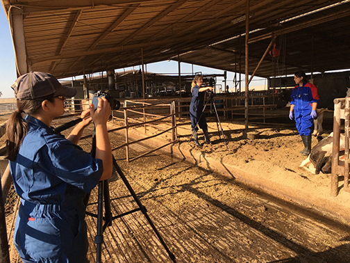 DeLaval Dairy Shoot