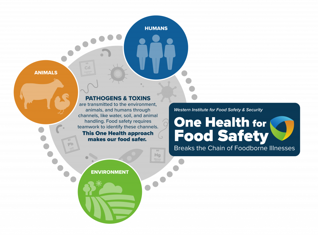 One Health for Food Safety Graphic